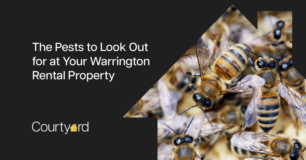 The Pests to Look Out for at Your Warrington Rental Property