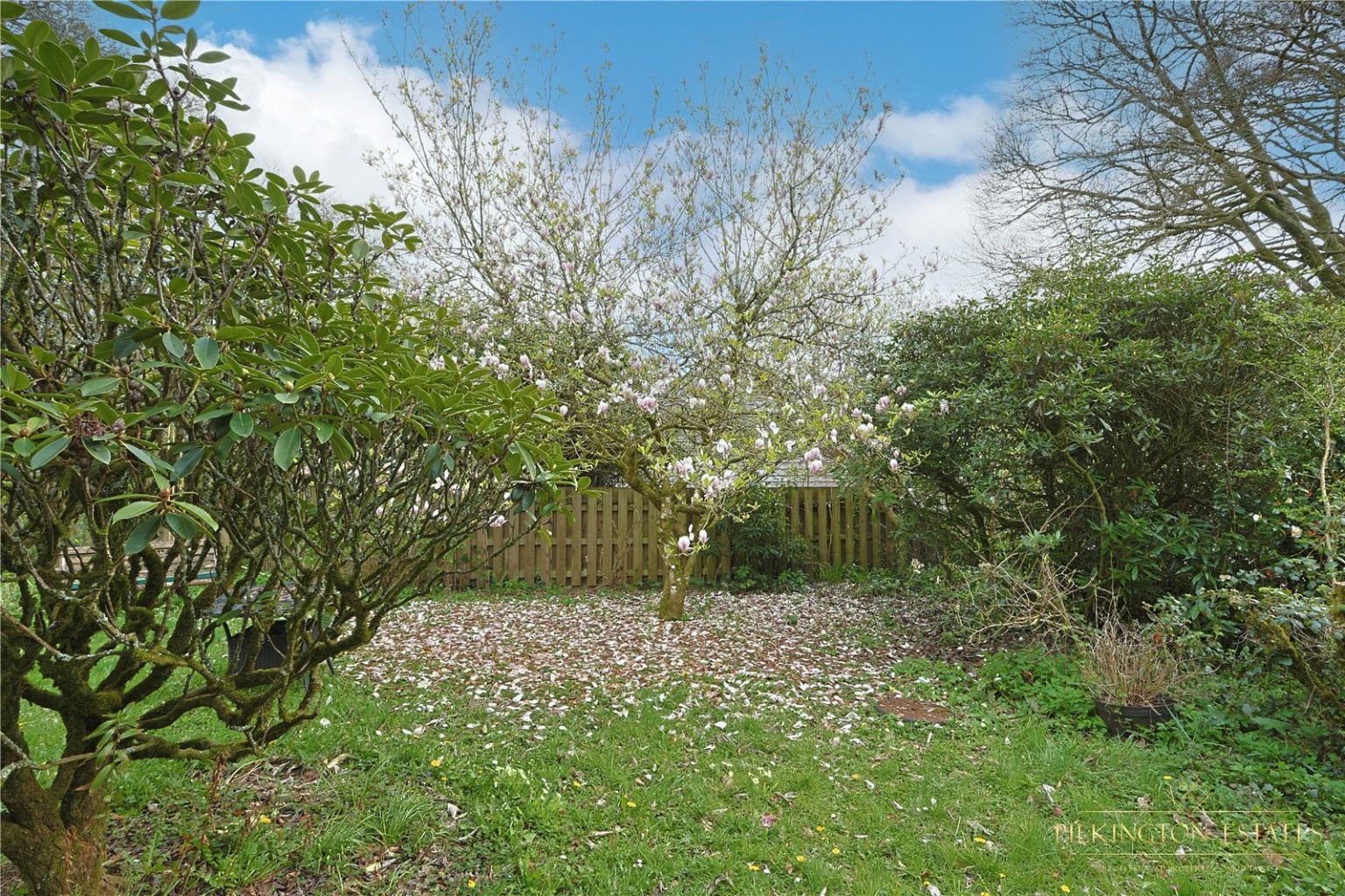 Roseland, Liskeard, Cornwall, PL14 Property image 12