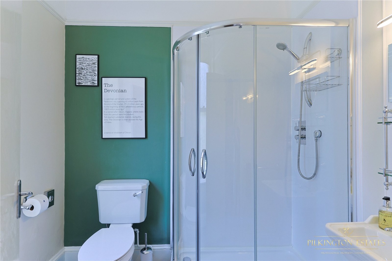 Torrs Park, Ilfracombe, Devon, EX34 Property image 19