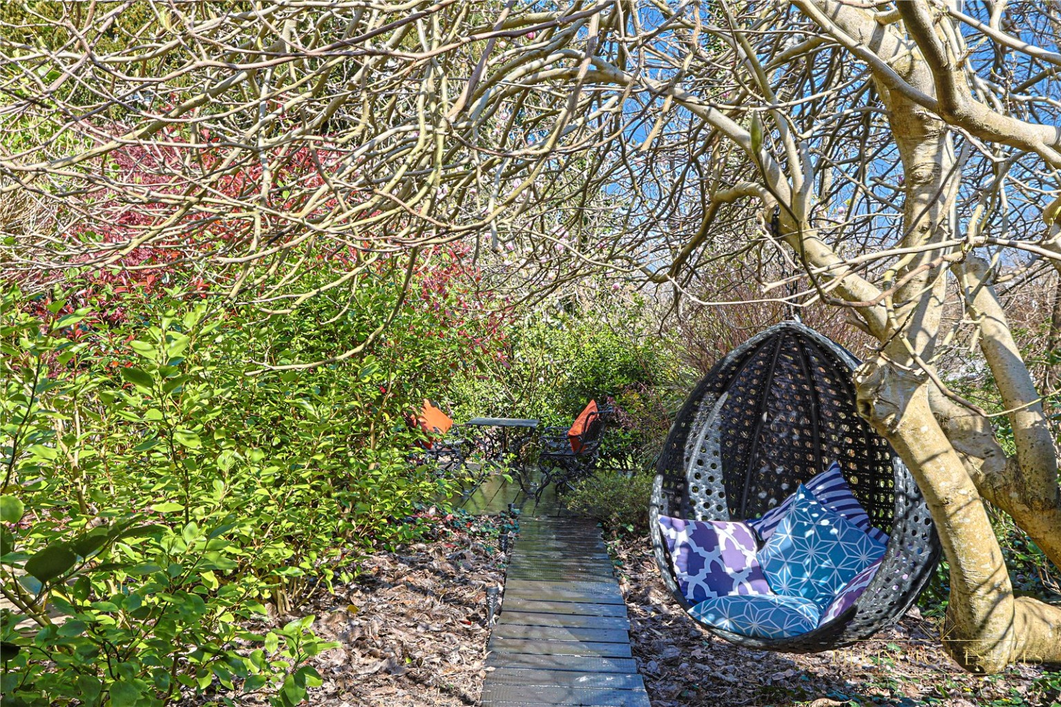 Torrs Park, Ilfracombe, Devon, EX34 Property image 33