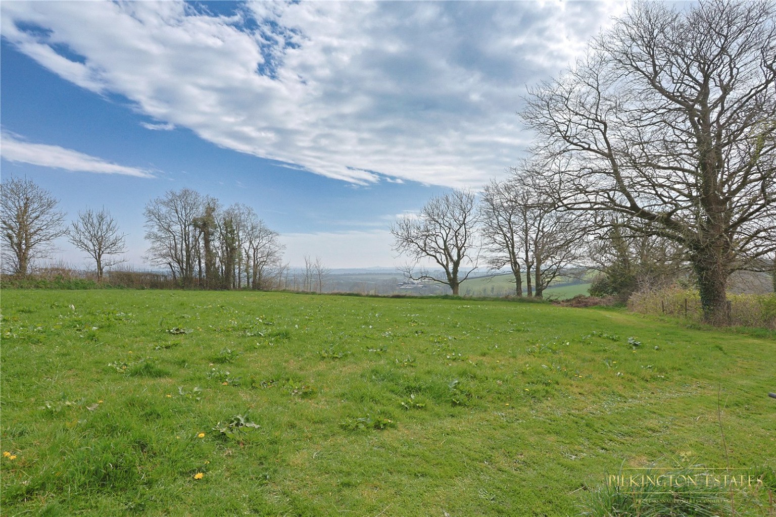 Broadwoodwidger, Lifton, Devon, PL16 Property image 46
