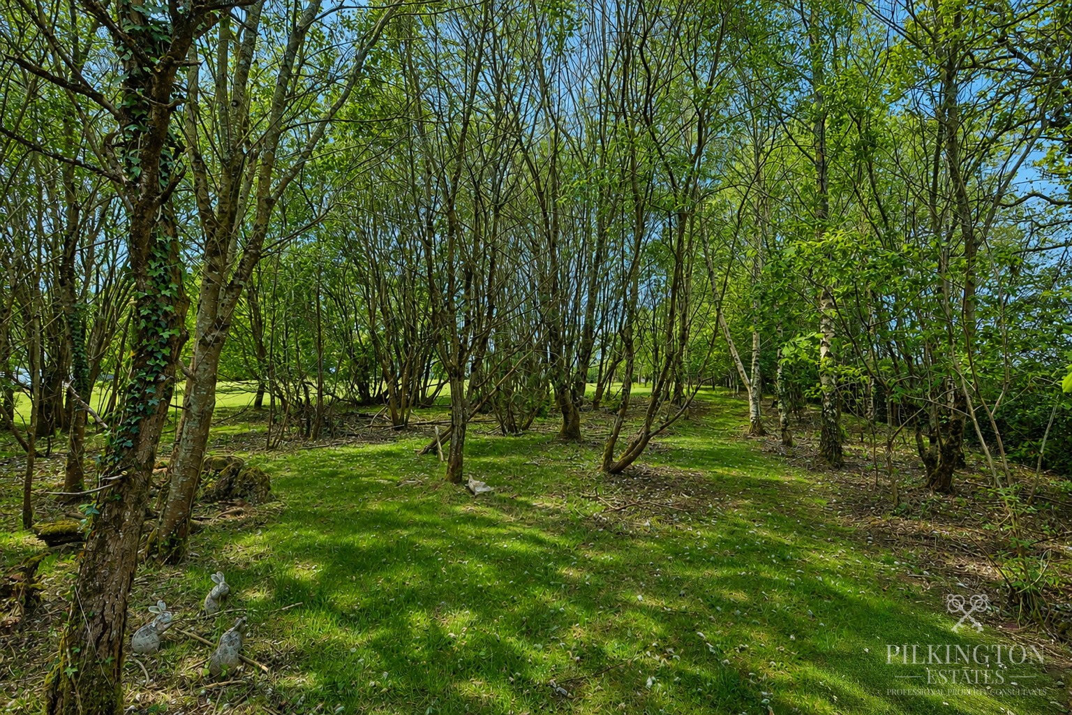 Exceptional fully renovated country residence set within approximately 6.4 acres in total Property image 25