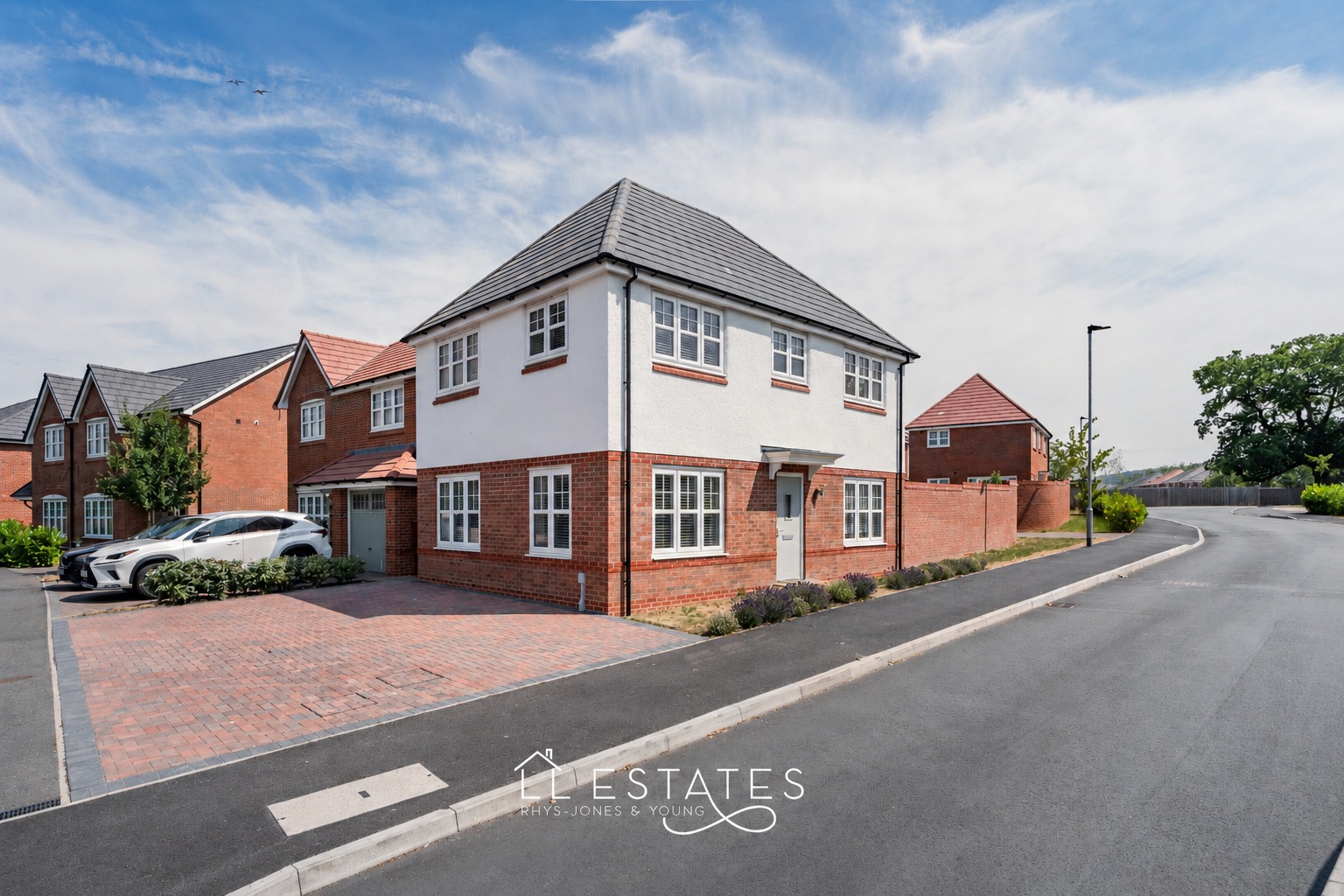 Gorgeous modern 3 bedroom detached home with ample parking