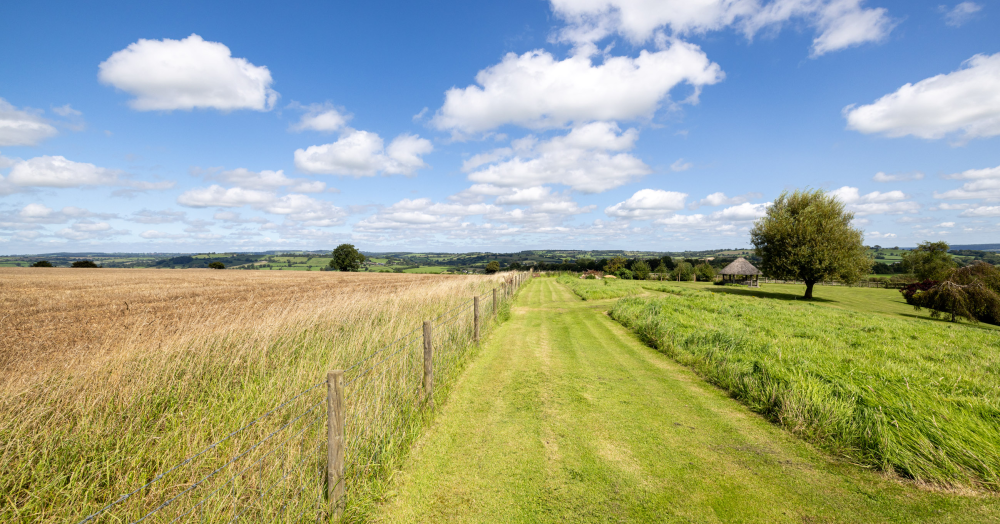 Find out how to switch estate agents and get your home sold if viewings have dropped off a cliff