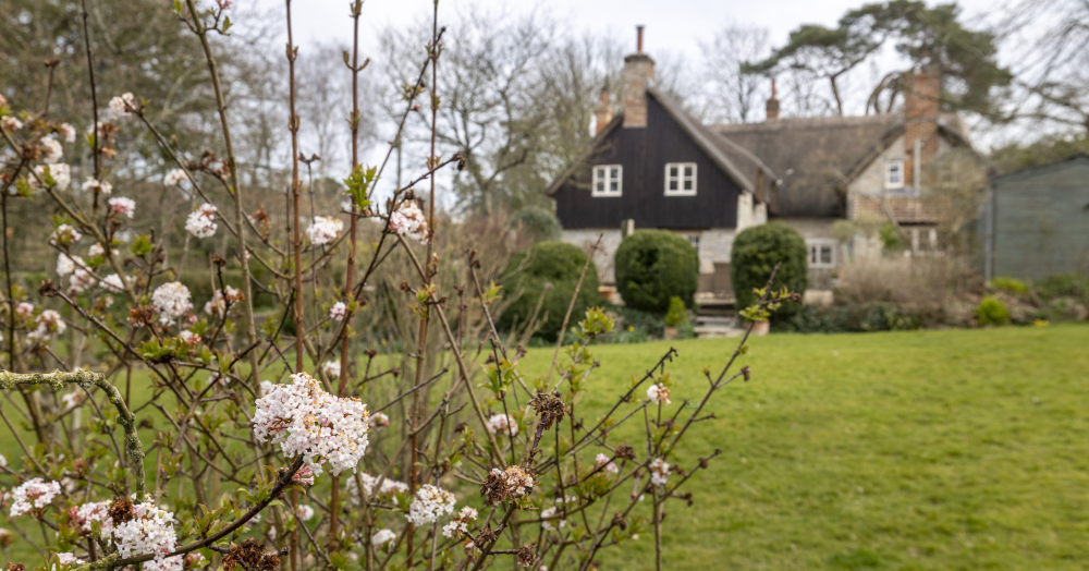 Property Showcase - Old Farm, South Barrow.