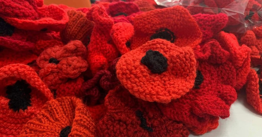 Hockley Remembrance Day Poppies; we need your help.