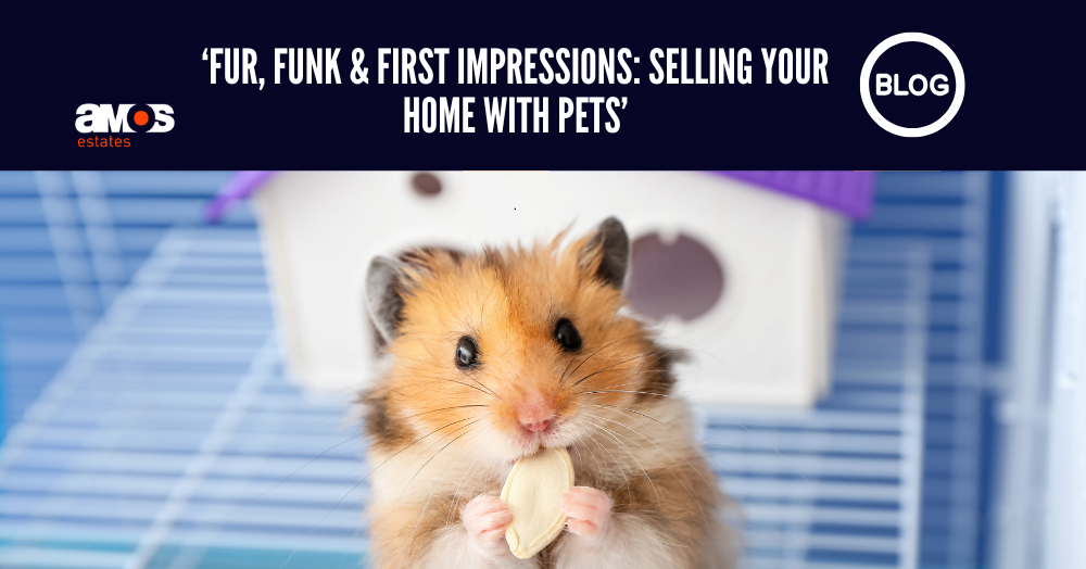 Fur, Funk & First Impressions: Selling Your Home With Pets, the Amos Estates advice. Fur, Funk & First Impressions: Selling Your Home With Pets, the Amos Estates advice.