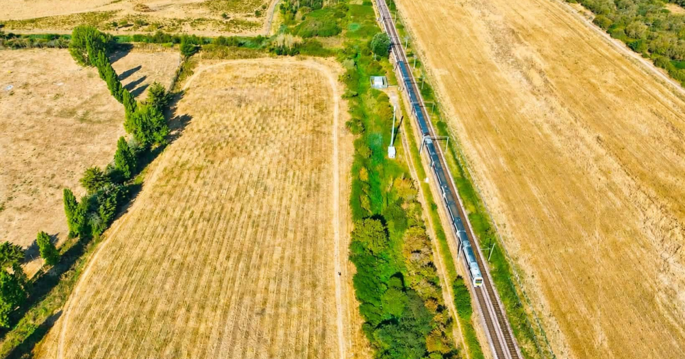 Canvey & Two Tree, the Islands on Our Doorstep