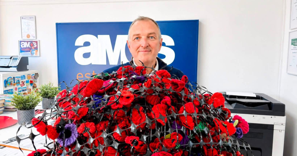 Poppies Needed: Three Displays, One Purpose