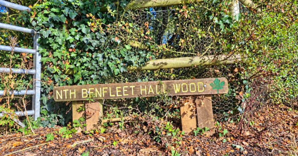 North Benfleet’s Great War Mystery