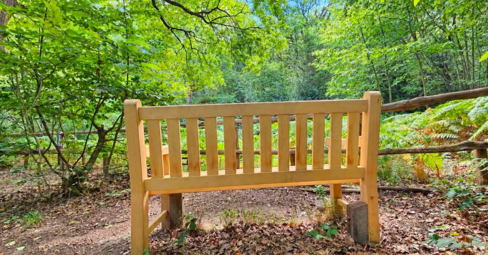 700,000 Years in the Making: Visiting Pound Wood in Hadleigh