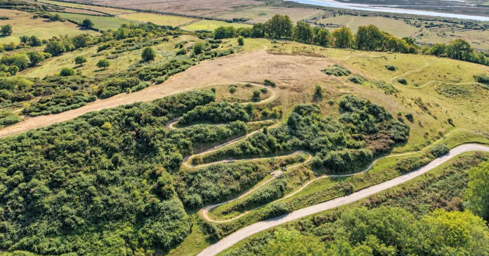 Lost in Hadleigh: The Hunt for a Hidden WWII Gun Battery