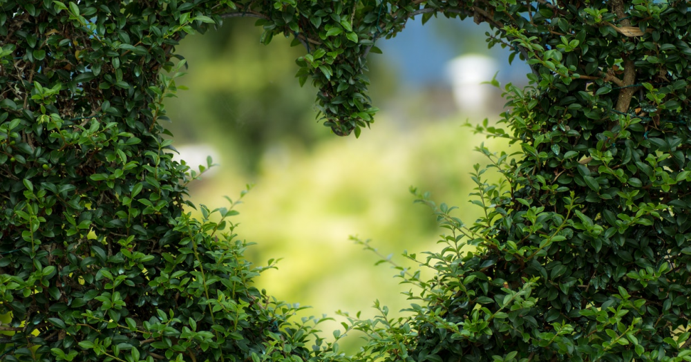 Why gardening in Attleborough and East Harling is good for you