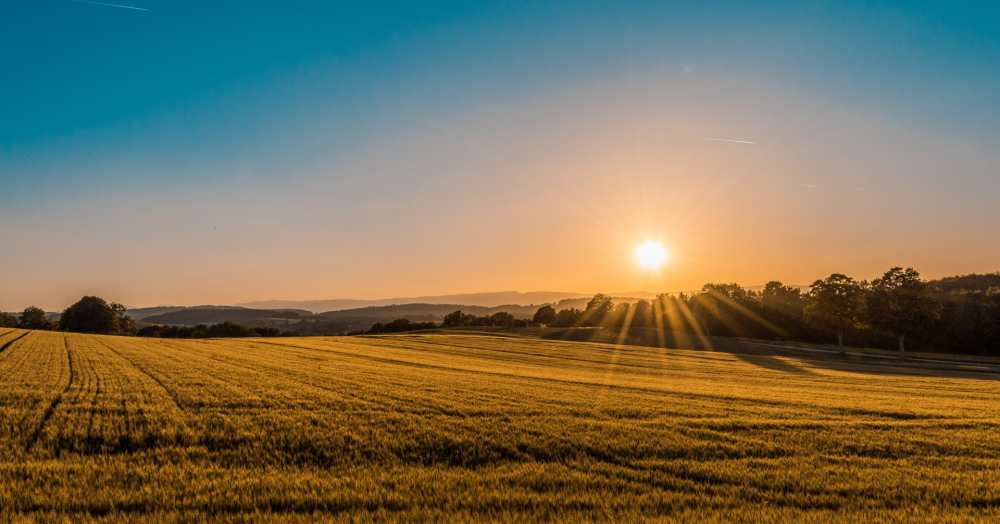 5 reasons to be cheerful in Attleborough & East Harling this Friday