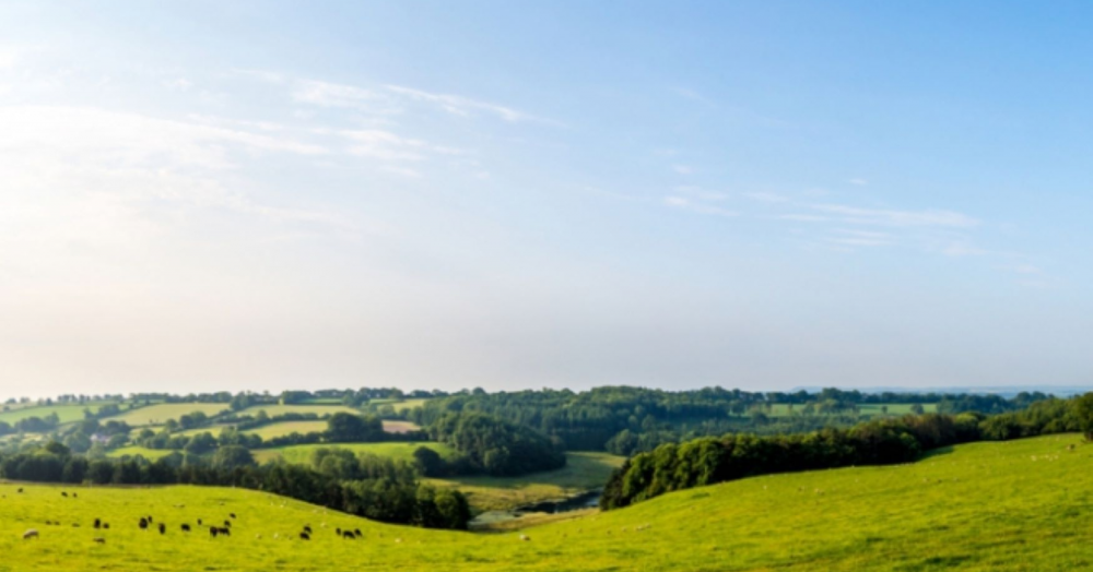 Landlords predict tenant demand for rural properties to increase as pandemic continues
