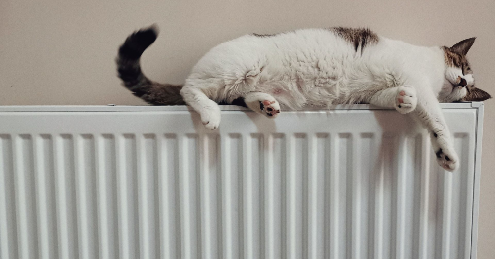 8 Ways Homeowners Can Reduce Their Heating Costs