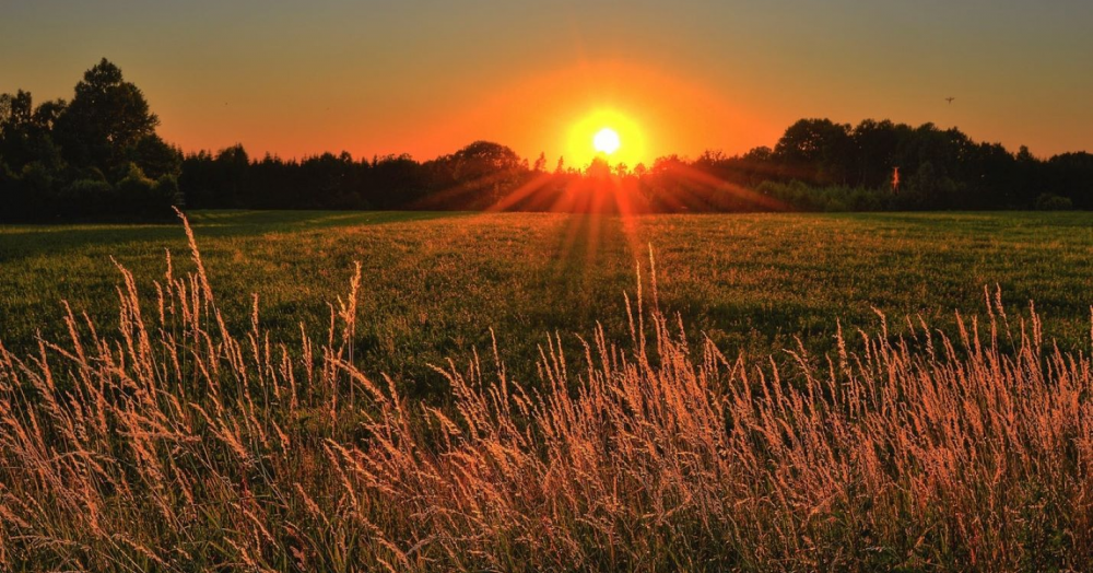 7 Reasons to be Hopeful this Year