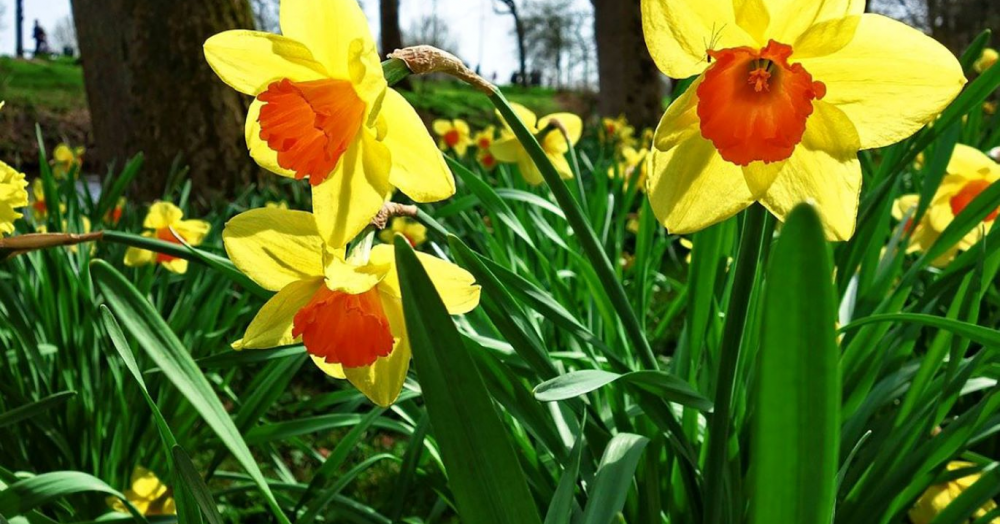 Top Tips for Selling Your Home This Spring