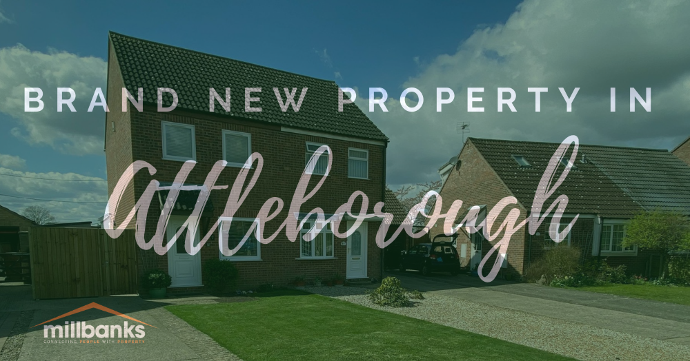 **NEW TO THE MARKET**