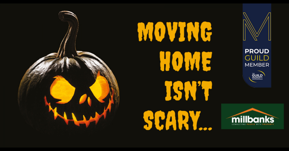 Are you frightened at the thought of moving home? Are you frightened at the thought of moving home?