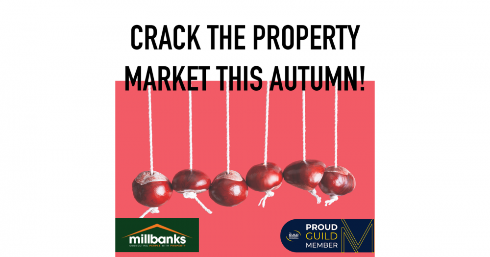 As we begin to move out of Autumn into Winter, now is a great time to crack on with a home move As we begin to move out of Autumn into Winter, now is a great time to crack on with a home move