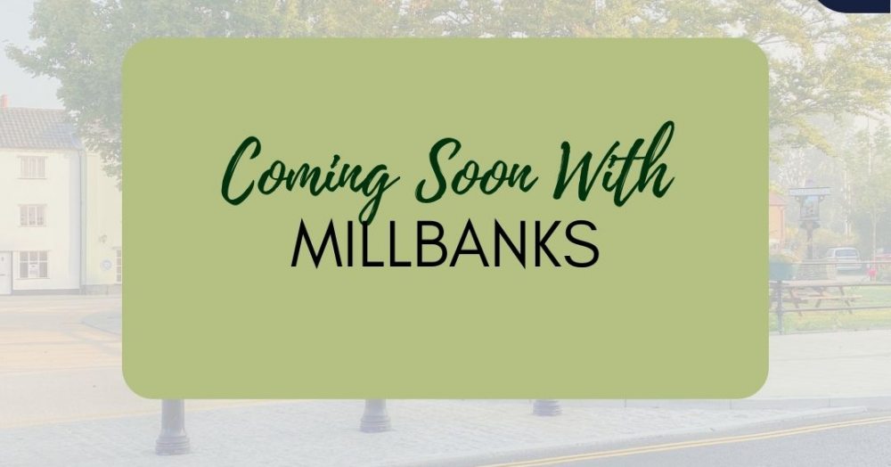 🎉🎉🎉Coming Soon to the Market. 🎉🎉🎉