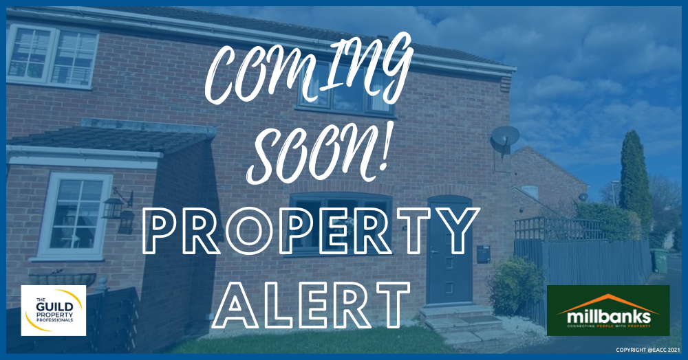 ✨✨✨ TO LET NEW PROPERTY ALERT ! ✨✨✨ ✨✨✨ TO LET NEW PROPERTY ALERT ! ✨✨✨