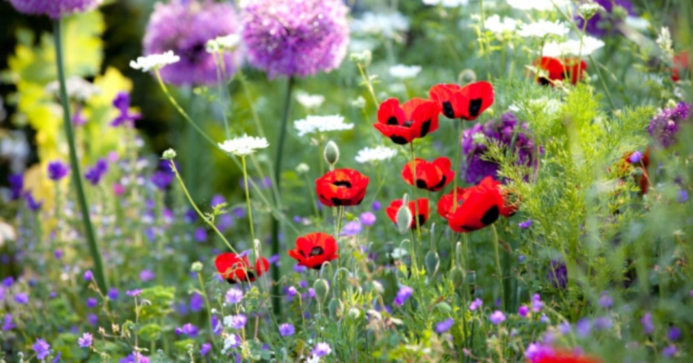 Top tips to get your outdoor space ready for Spring Top tips to get your outdoor space ready for Spring