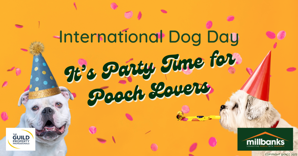 International Dog Day: Let’s Celebrate Our Canine Companions International Dog Day: Let’s Celebrate Our Canine Companions