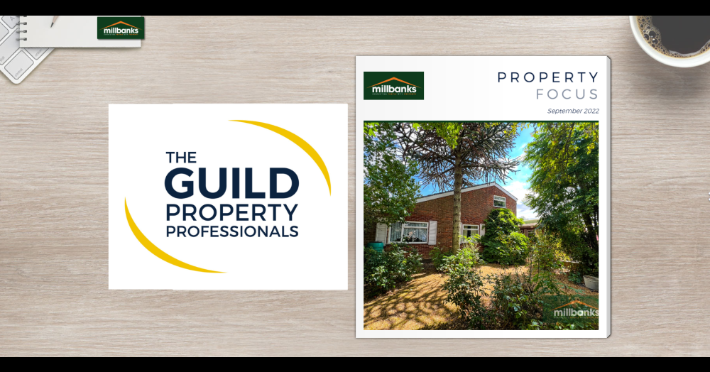 The Latest Edition of our FREE Online Property E-zine is Now Available