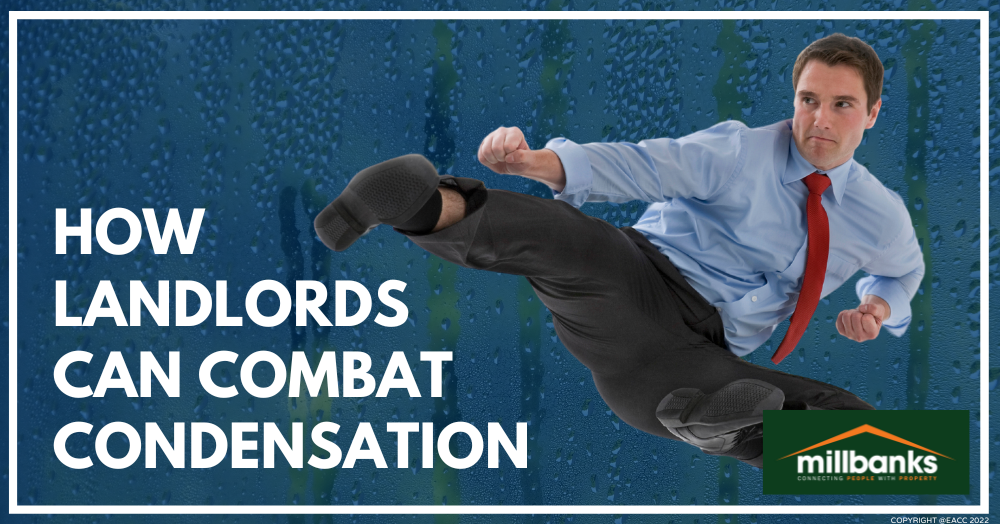 How to Stop Condensation Becoming a BIG Problem