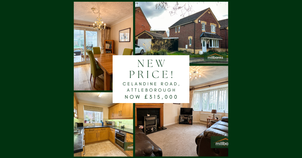 NEW PRICE!